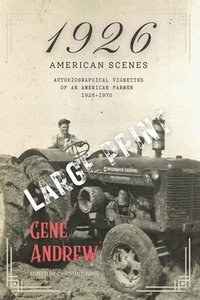 bokomslag 1926: American Scenes
