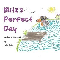bokomslag Blitz's Perfect Day