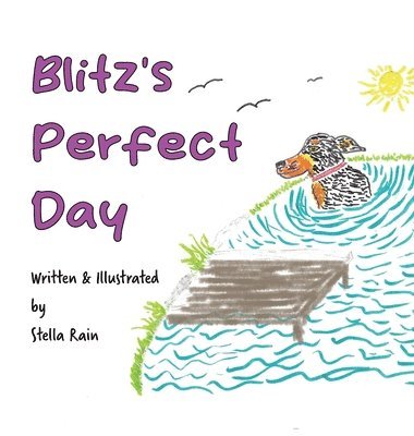 Stella Rain - Blitz's Perfect Day, Inbunden