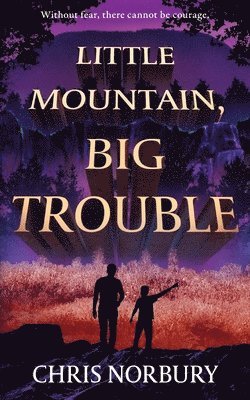 bokomslag Little Mountain, Big Trouble