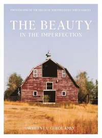 bokomslag Beauty in the Imperfection