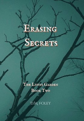 bokomslag Erasing Secrets