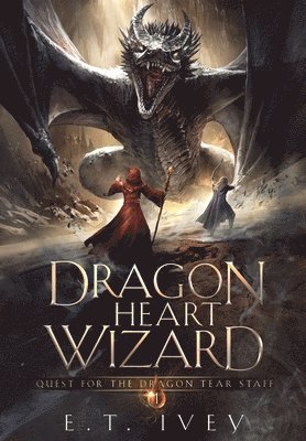 bokomslag Dragon Heart Wizard