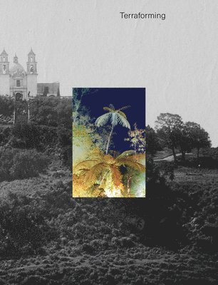 bokomslag Terraforming: Olana's Historic Photography Collection Unearthed