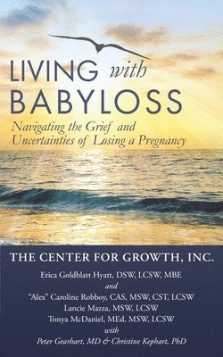 bokomslag Living with Babyloss