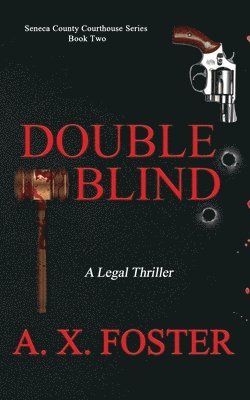 bokomslag Double Blind: The Seneca County Courthouse Series: Book Two