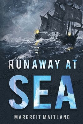 bokomslag Runaway At Sea