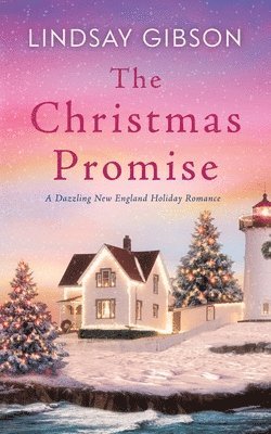 bokomslag The Christmas Promise