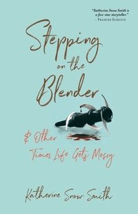 bokomslag Stepping on the Blender & Other Times Life Gets Messy