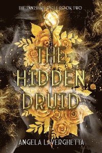 bokomslag Hidden Druid The Innisfail Cycle Book Two