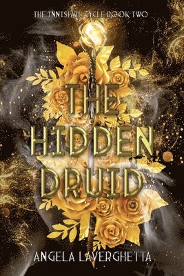 bokomslag Hidden Druid The Innisfail Cycle Book Two