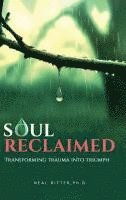 bokomslag Soul Reclaimed: Transforming Trauma into Triumph (Deluxe Hardcover Edition)