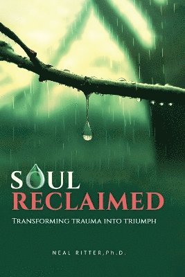 bokomslag Soul Reclaimed