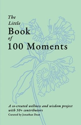 bokomslag Little Book of 100 Moments