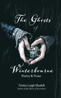 bokomslag Ghosts of Winterbourne