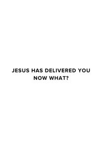 bokomslag Jesus Has Delivered You (now what?)