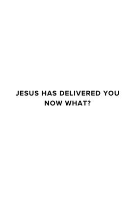 bokomslag Jesus Has Delivered You (now what?)