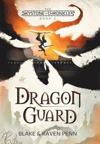 bokomslag Skystone Chronicles Book 2