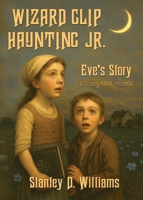 Stanley David Williams - Wizard Clip Haunting Jr., Häftad