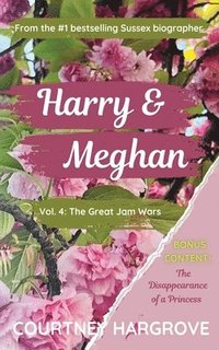 bokomslag Harry & Meghan