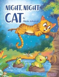 bokomslag Night, Night Cat