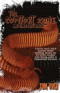 bokomslag Comfort Zone and Other Safe Spaces