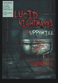 bokomslag Lucid Nightmares