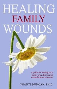 bokomslag Healing Family Wounds