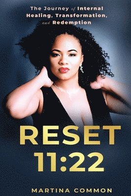 bokomslag Reset 11