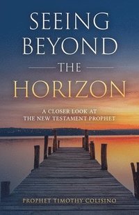 bokomslag Seeing Beyond the Horizon