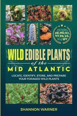 bokomslag Wild Edible Plants of the Mid-Atlantic