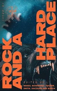 bokomslag Rock and a Hard Place, Issue 11
