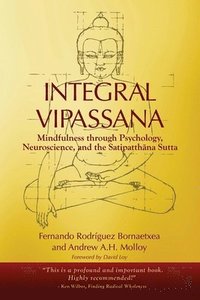 bokomslag Integral Vipassana