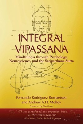 Integral Vipassana 1