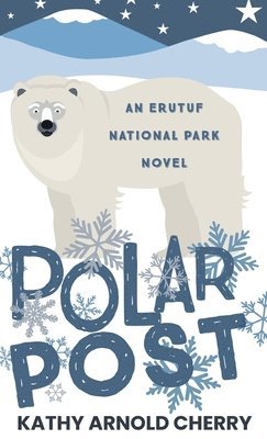 bokomslag Polar Post