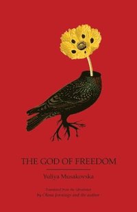 bokomslag The God of Freedom