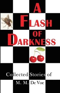 bokomslag A Flash of Darkness