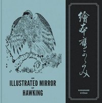 bokomslag An Illustrated Mirror of Hawking