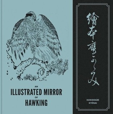 bokomslag Illustrated Mirror Of Hawking