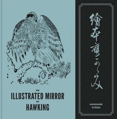 Illustrated Mirror Of Hawking 1