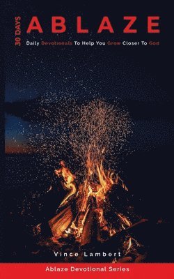 Vince Lambert - 30 Days Ablaze, Häftad