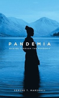 bokomslag Pandemia