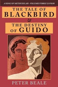 bokomslag The Tale of Blackbird & the Destiny of Guido