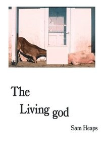 bokomslag Living god