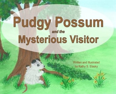 bokomslag Pudgy Possum and the Mysterious Visitor