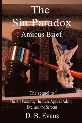 bokomslag Sin Paradox, Amicus Brief