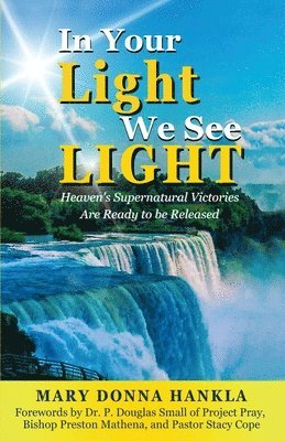 In Your Light We See LIGHT 1