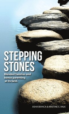 bokomslag Stepping Stones