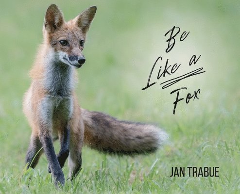 Be Like a Fox 1