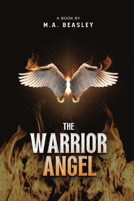 bokomslag Warrior Angel